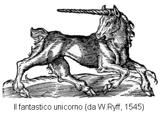 Unicorno Ryff